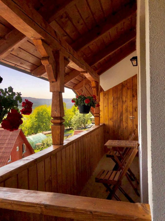 Pensiunea Roca Maramures Desesti ภายนอก รูปภาพ