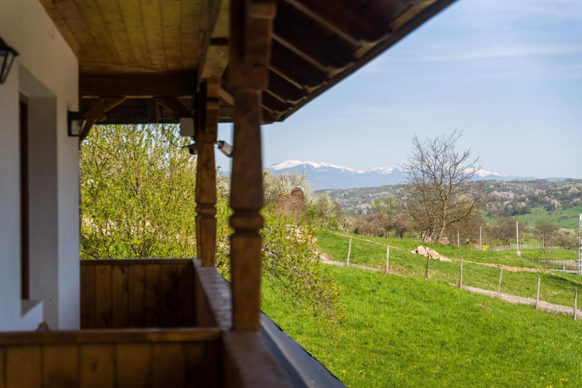 Pensiunea Roca Maramures Desesti ภายนอก รูปภาพ