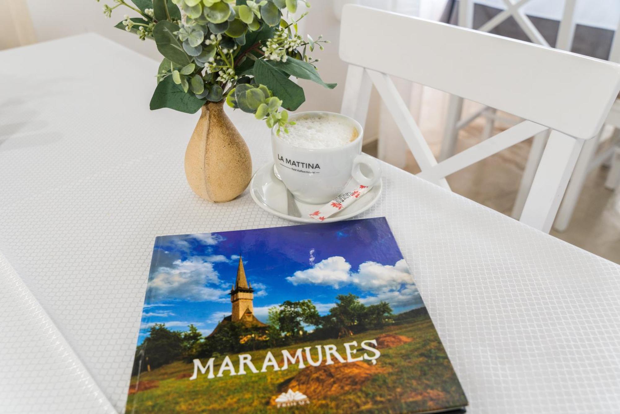 Pensiunea Roca Maramures Desesti ภายนอก รูปภาพ